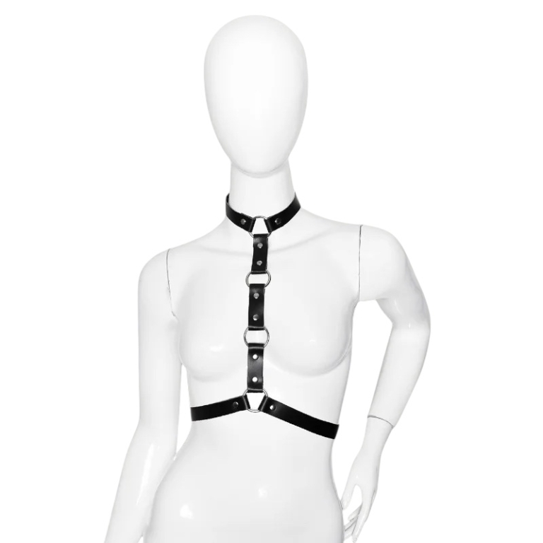 Harness 3021