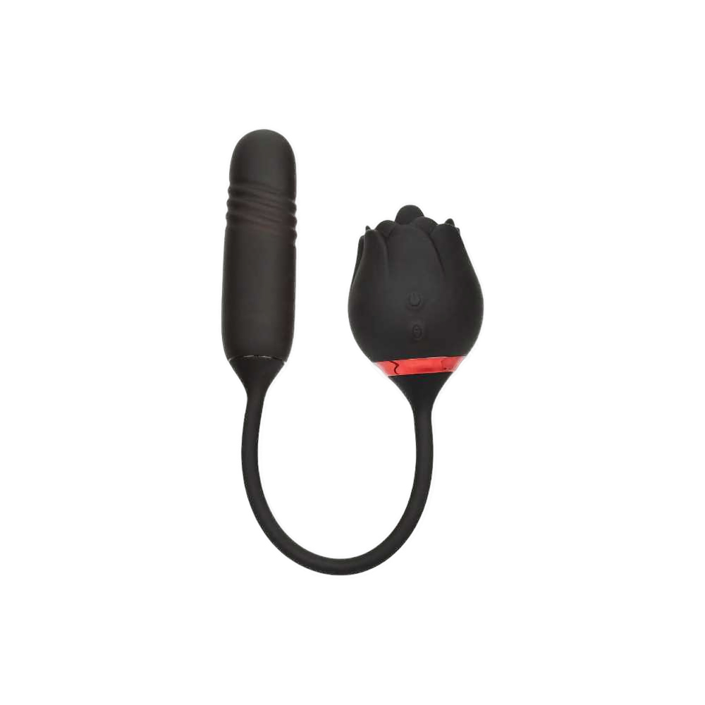 Jajeczko French Romeo