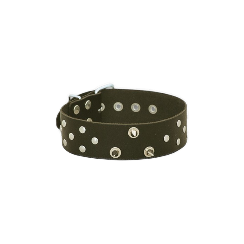 Skórzana obroża z kolcami